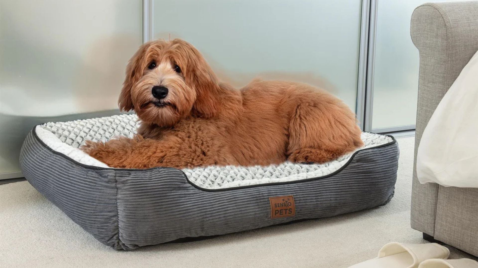 Pets Luxury bed-Dog Cat Pet Bed-trendsbyrhoy