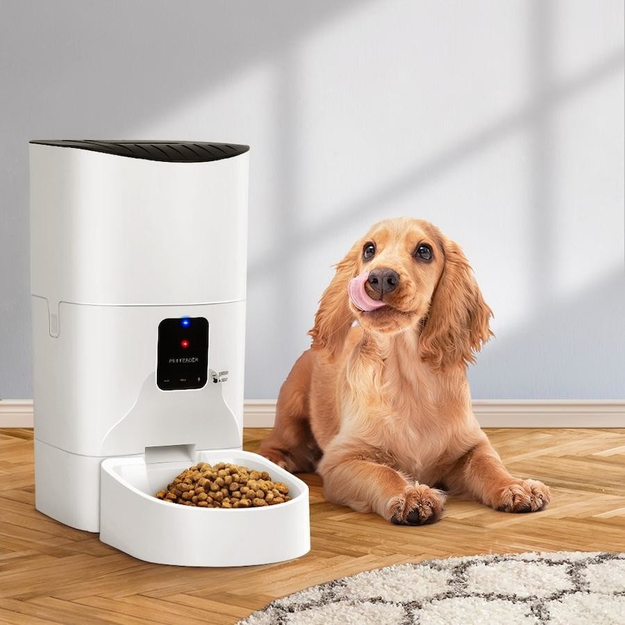 Pet Automatic Feeder Large Capacity Smart Voice Recorder APP Control Timer Feeding Cat Dog Food Dispenser With WiFi Pet Bo
