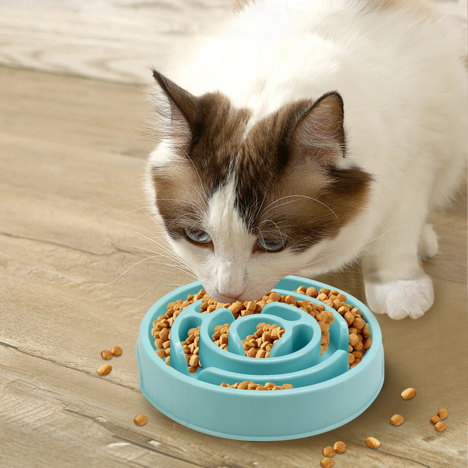 Pet Dog Cat Slow Feeder Bowl Fun Non Slip Anti-Gulping Slower Food Feeding Dishes Eco Dog Bowl for Large Medium Small Cat Dogs Puppy